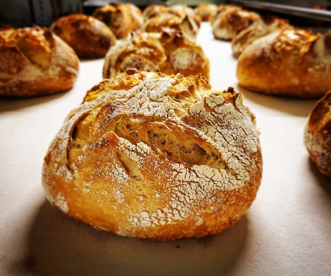 Flour-dusted sourdough boules cooling on the bakery bench